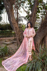 Silken Temptations - Ravish