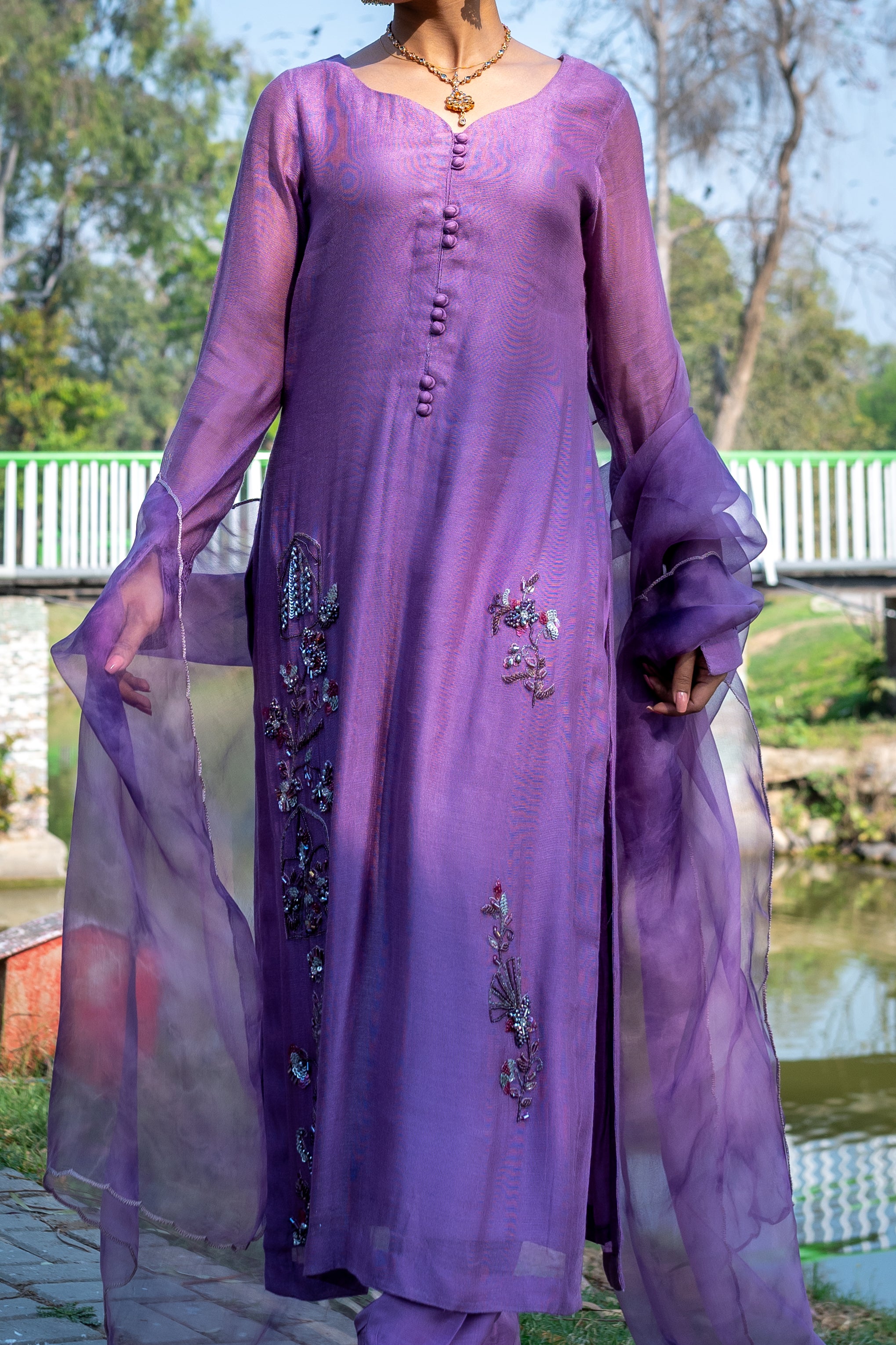 Dreams come - Ravish