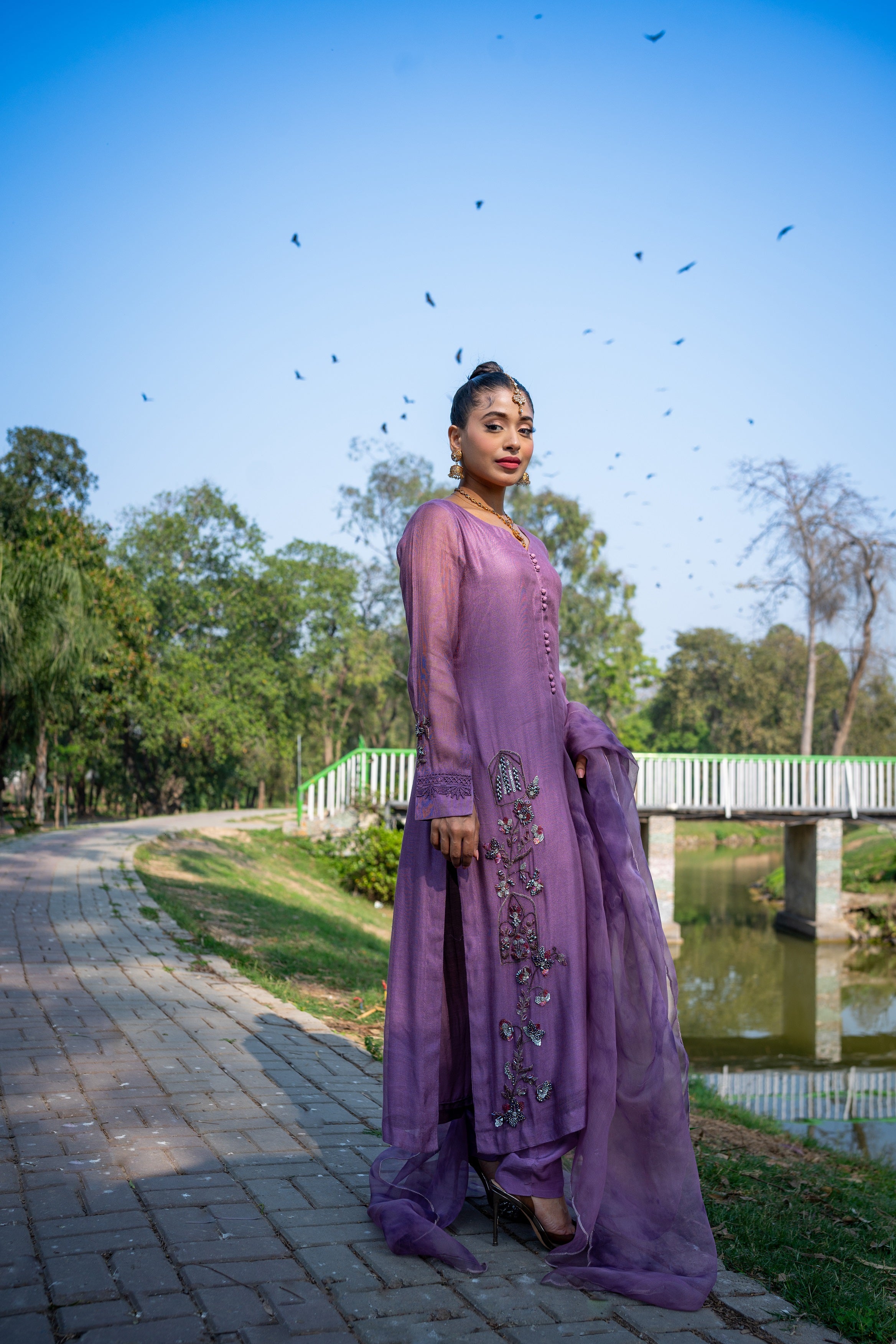 Dreams come - Ravish