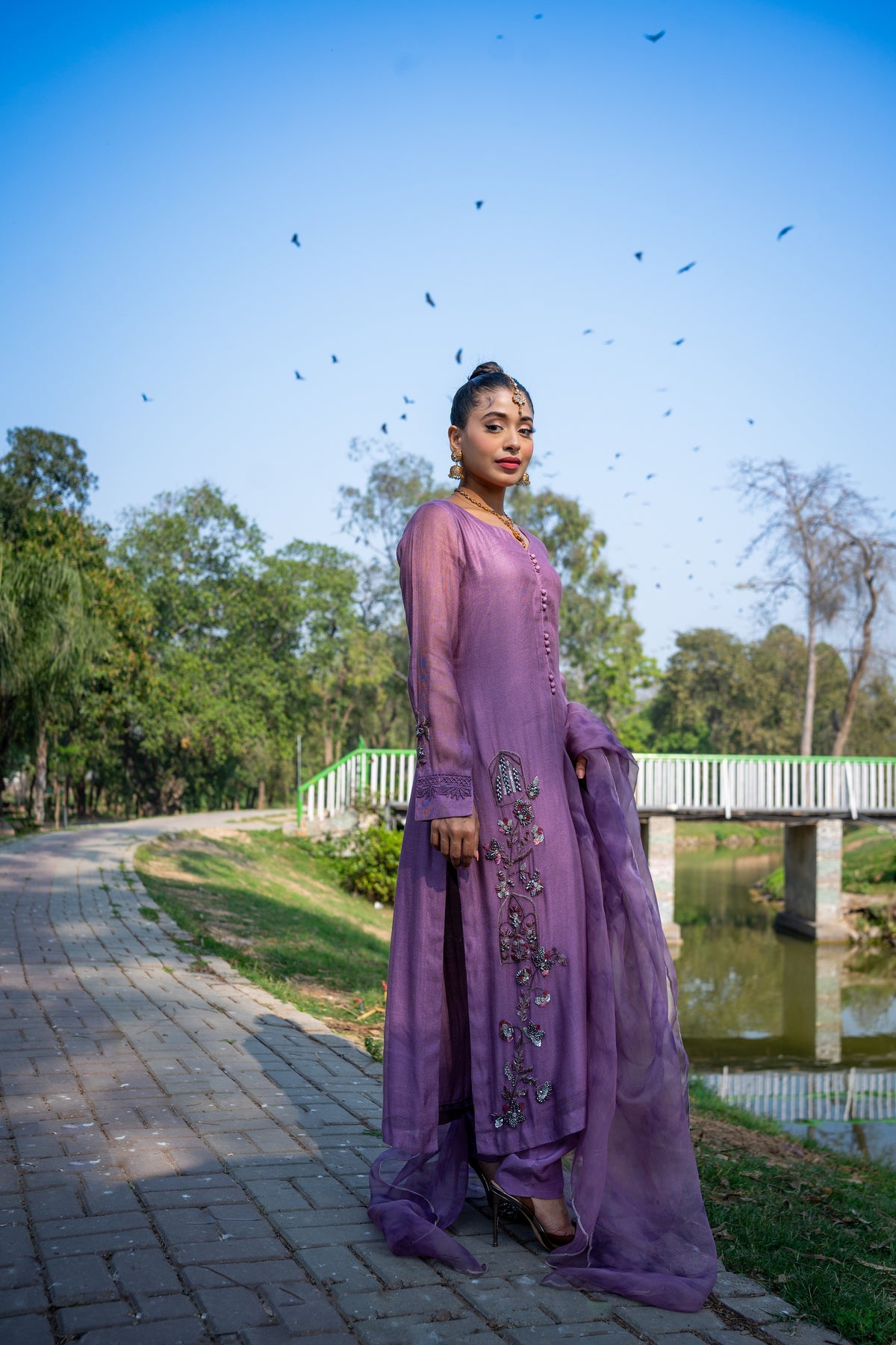 Dreams come - Ravish