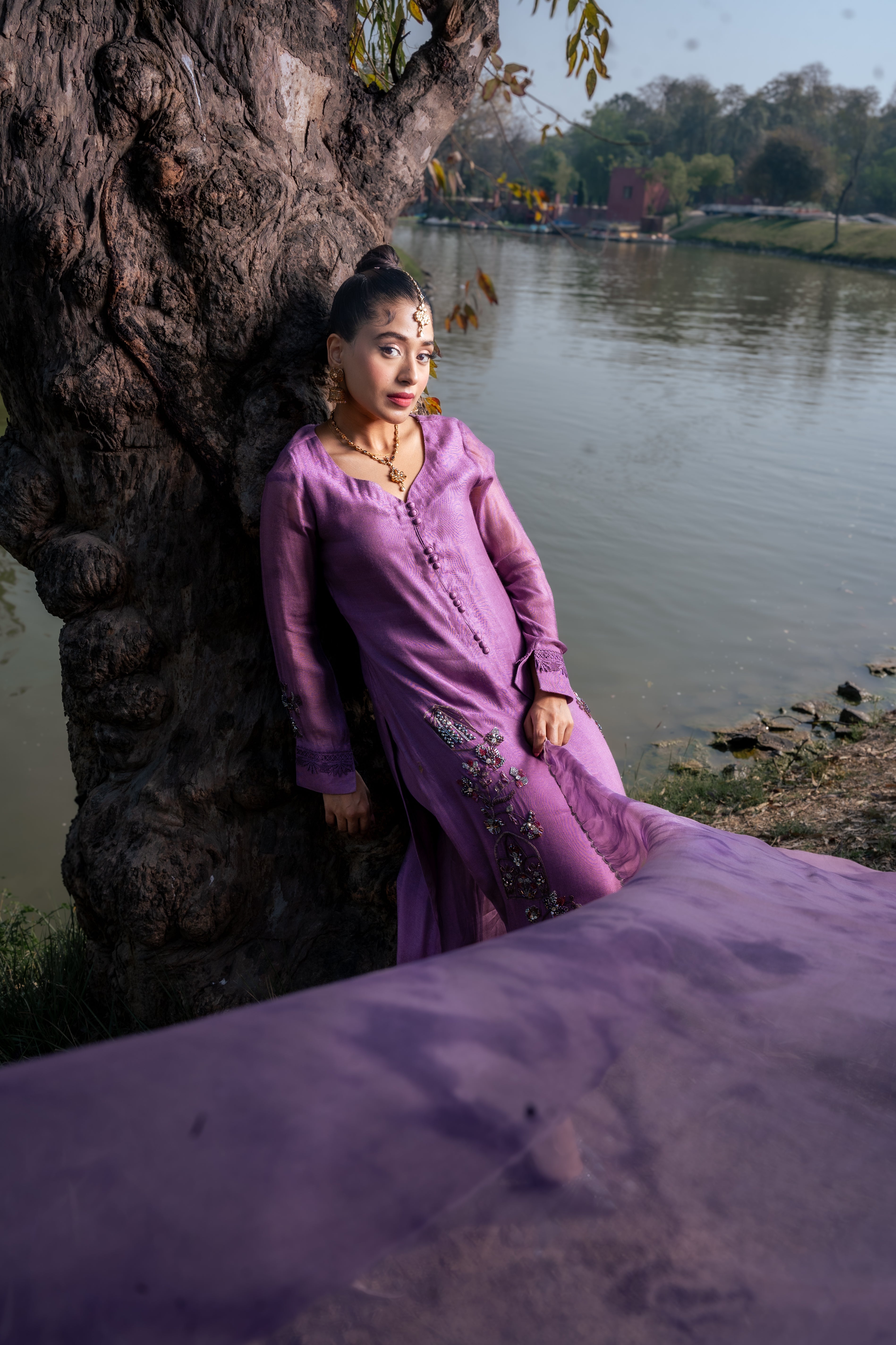 Dreams come - Ravish